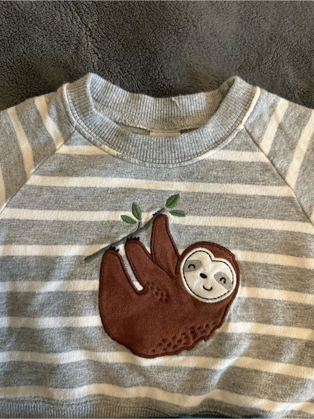 Carter's Blue Fleece Zip Jacket with Gray & Cream Sloth Stripe Pullover